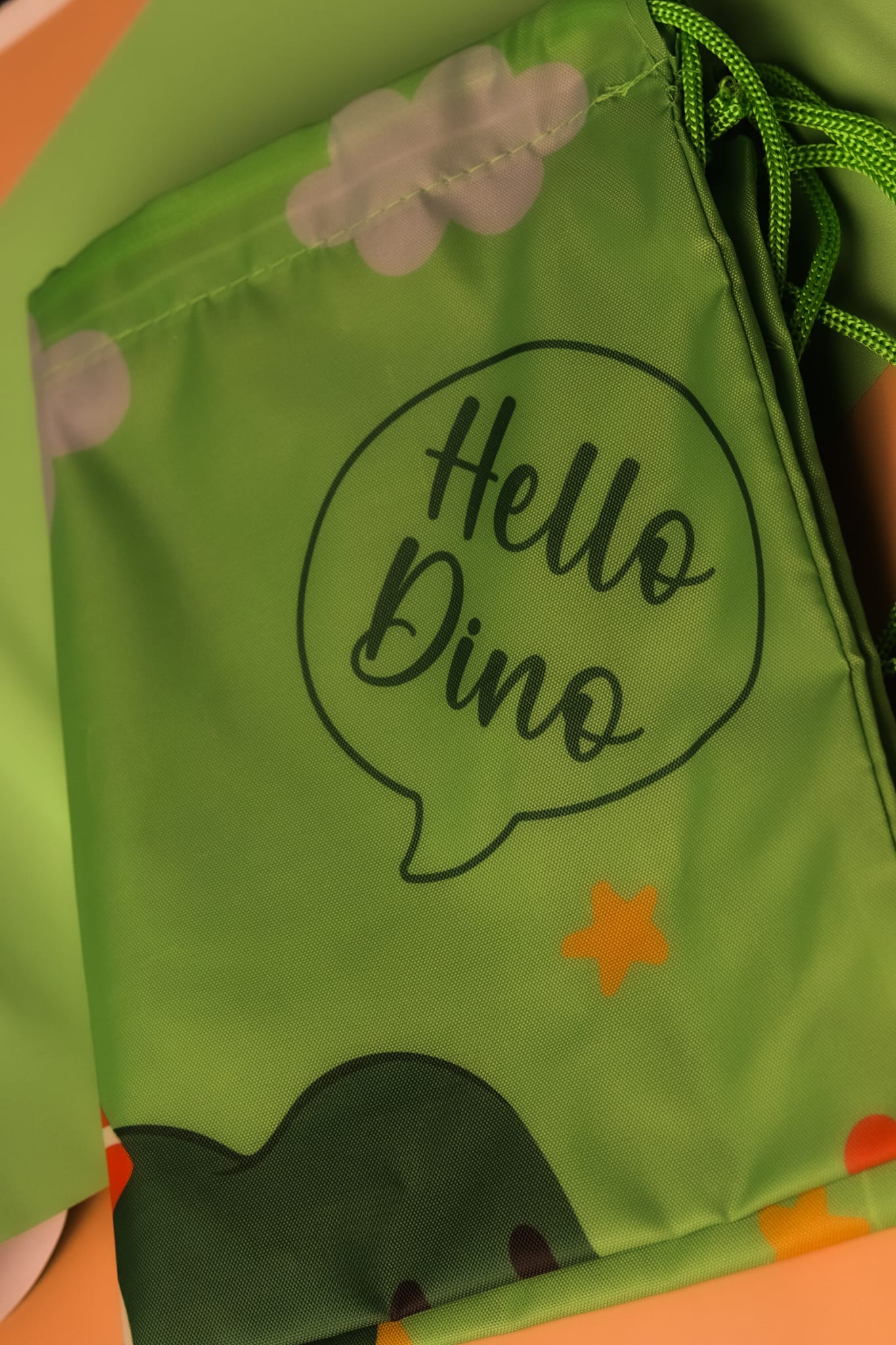 Little Dino Courage Box